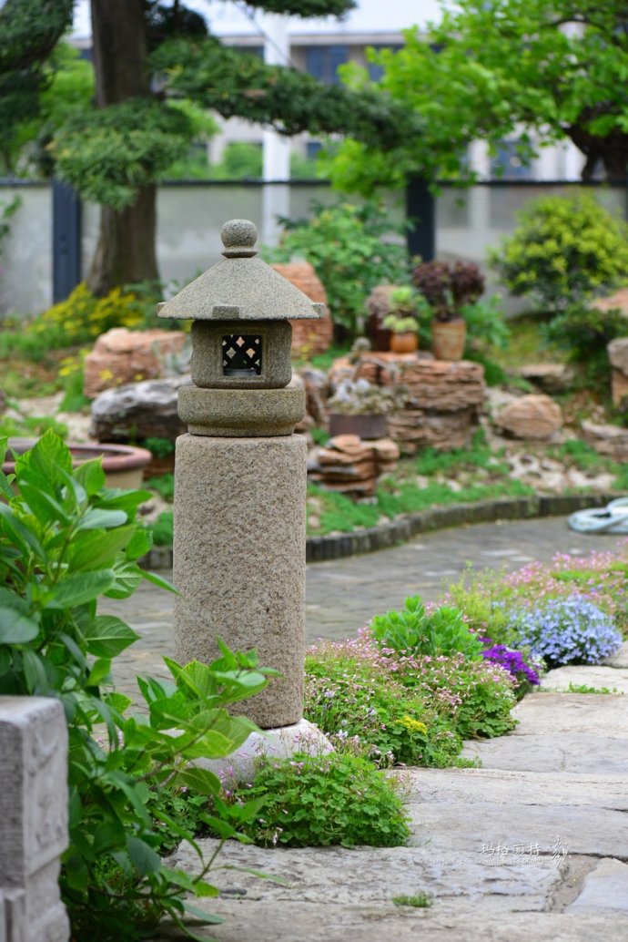 鎷滆涓滅鑽夊爞,鑺卞洯鎷滆