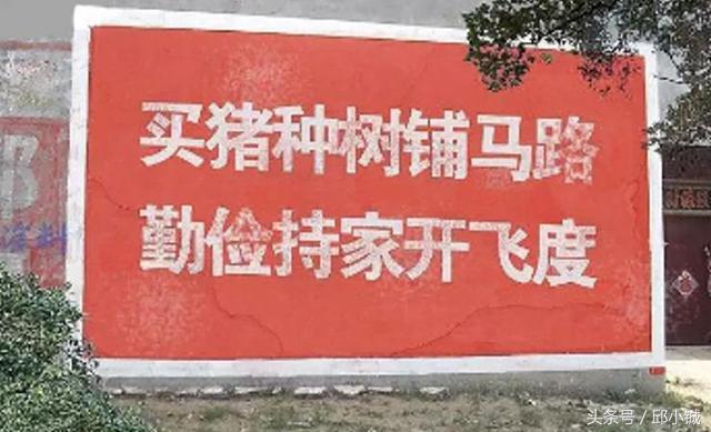 看遍三年教授“10万元买什么车”，阿牛终于出手了