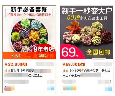 多肉植物贵货老桩都开始降价啦!到底要不要入手?来听听有经验的大神怎么说