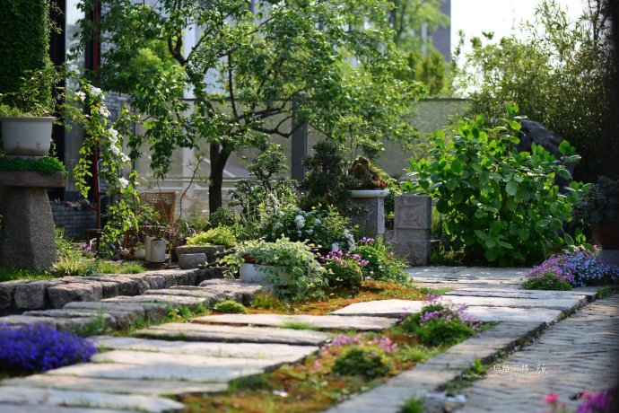 鎷滆涓滅鑽夊爞,鑺卞洯鎷滆