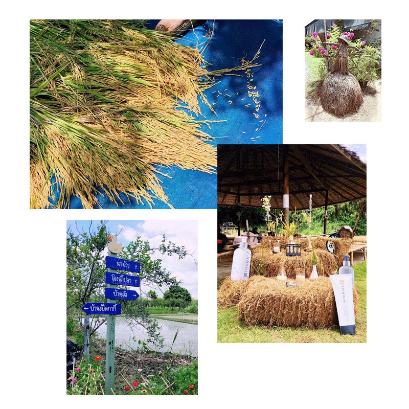 泰国曼谷娜娜街攻略 (泰国曼谷住宿攻略)