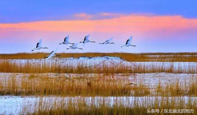 夏季黑龙江最美景区,黑龙江避暑最佳城市