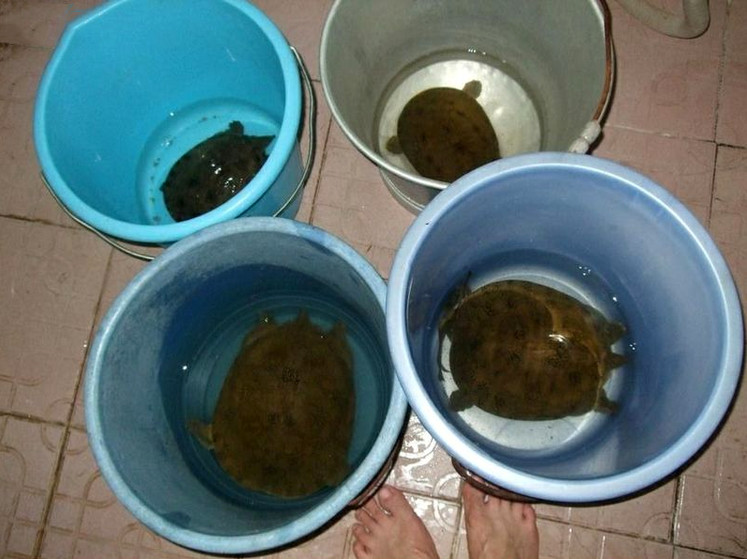 捕鱼技巧矿泉水瓶,爸爸捕鱼记