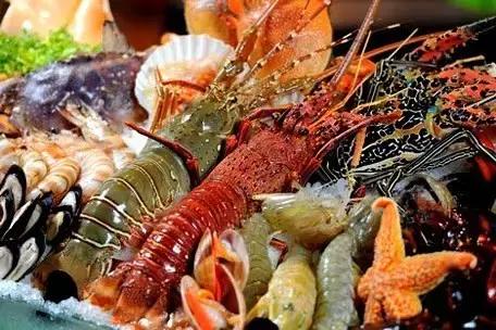 北京金钱豹近况,金钱豹还营业吗