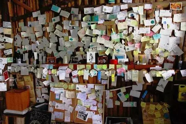 七星岩夏天的荷花图片,七星岩景区有荷花吗