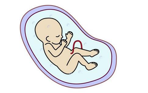 不想让你的宝贝担心,孕妈担心自己的胎宝有什么问题