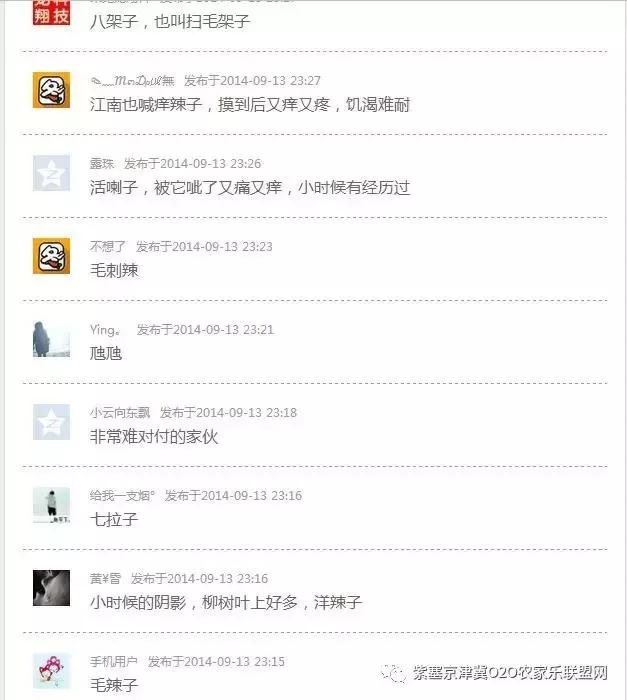 今年夏天，承德有种很小的动物，此神兽攻击力极强摸一下，神魂颠倒，还能吃？而且价格不菲！