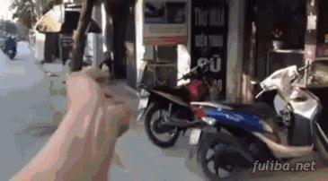 我愿成佛,我愿成佛歌曲完整版