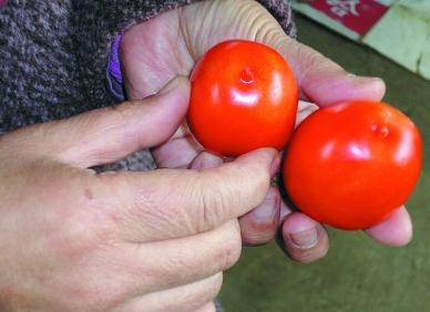 金沙河挂面有冒牌的吗,金沙河挂面有添加剂吗