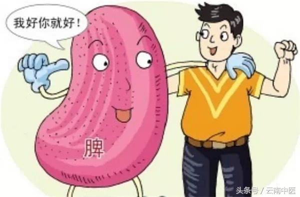 人参归脾丸和健脾丸的区别,归脾丸和健脾丸的区别的视频