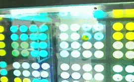 8岁熊孩子,8岁的熊孩子