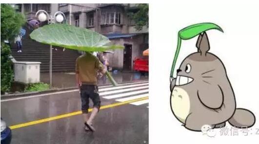 北京要下大雨,北京要下暴雨吗