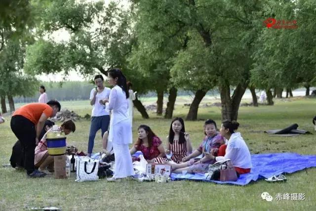 我爱夏日长深度解析,我爱夏日长在线观看