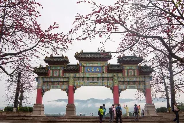 七星岩夏天的荷花图片,七星岩景区有荷花吗