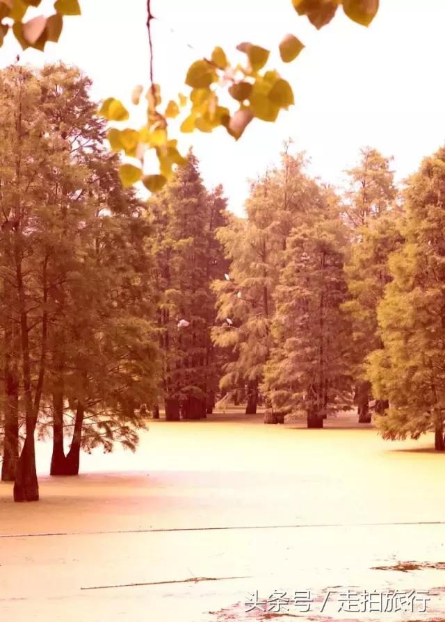 滁州有哪些地方可以下班去逛逛,滁州十大必去景点推荐