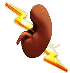 肾病患者饮食日记,肾病患者看的书