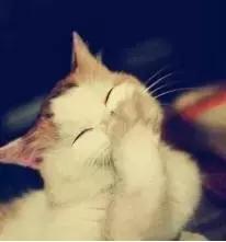 二次元的那些事:www——敲出的不是网站,而是牙齿