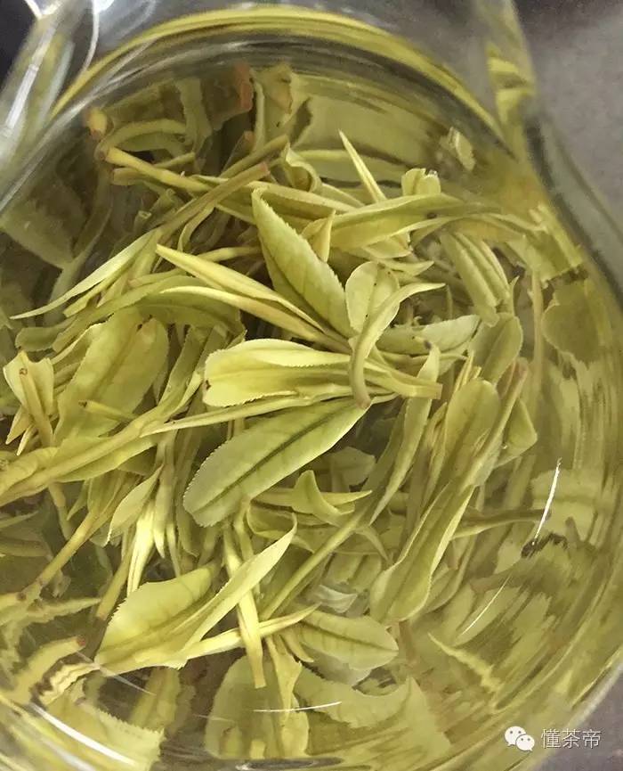 这里的“白茶”网上传言很多，哪个是正版？