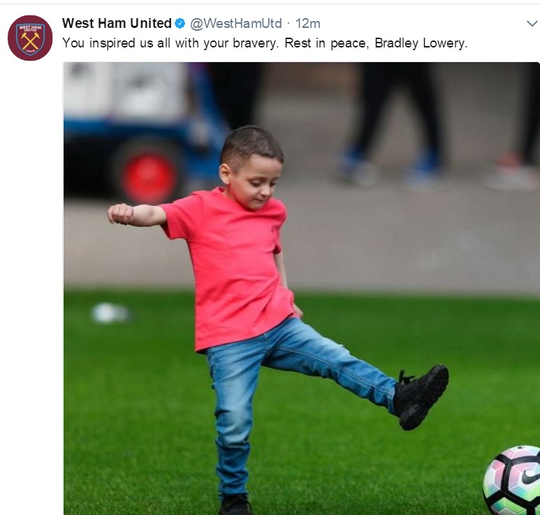 小布拉德利视频,小布拉德利