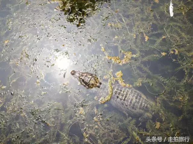 滁州游玩攻略潮玩街区,滁州最值得玩的地方