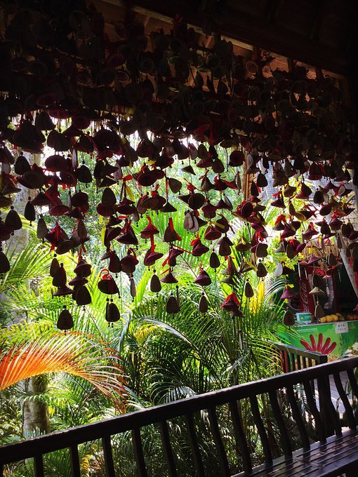 三亚呀诺达半天能玩完么,三亚旅游哪里吃海鲜最便宜