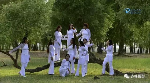 我爱夏日长深度解析,我爱夏日长在线观看