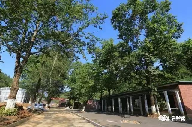 閮藉寑璐靛窞瓒崇悆灏忛晣,璐靛窞閮藉寑瓒崇悆鍥介檯灏忛晣