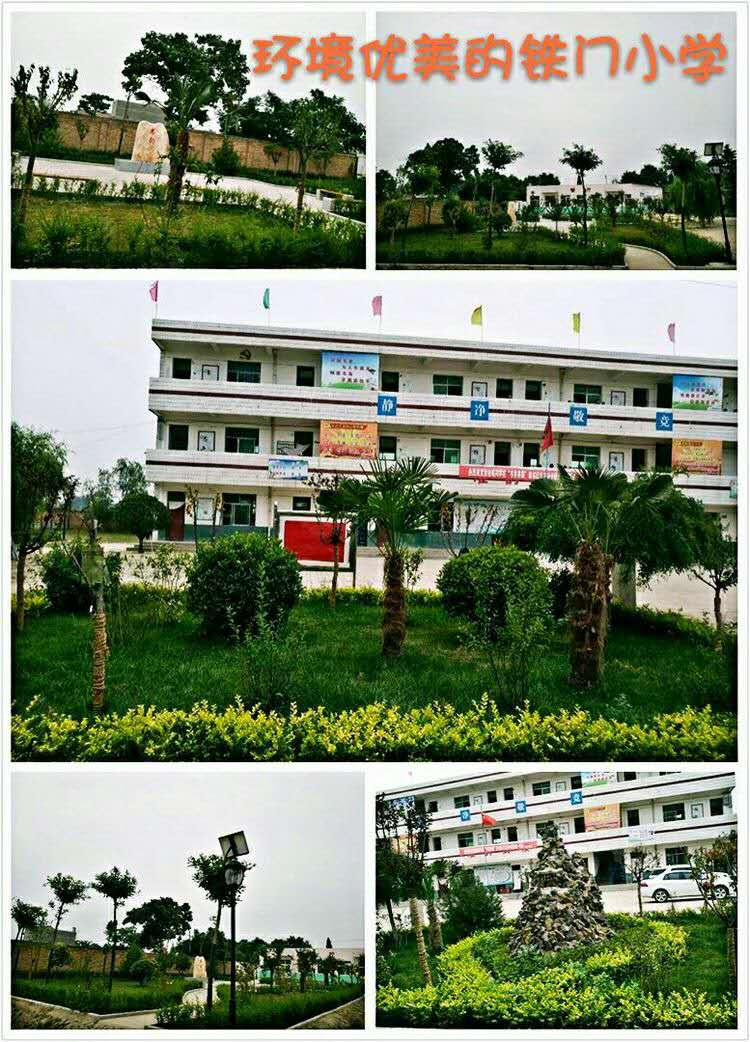 张桥中心小学上海,张桥乡中心小学简介