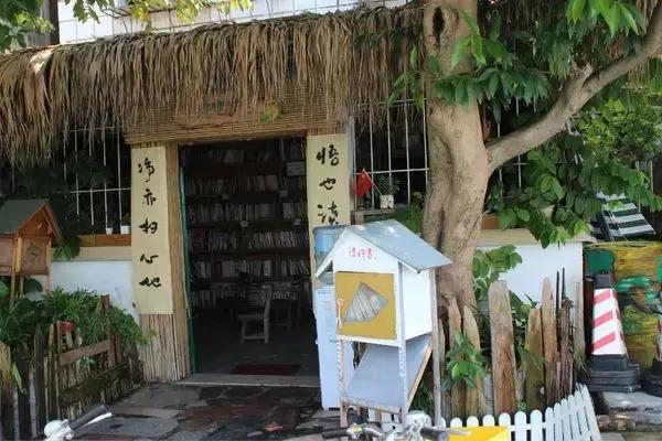 七星岩夏天的荷花图片,七星岩景区有荷花吗