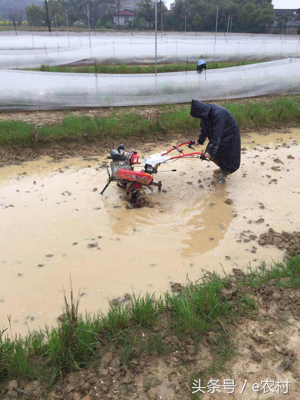 致富经养石蛙近期视频,cctv7致富经酿酒