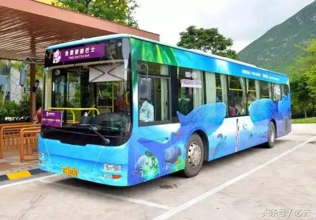 珠海到广州长隆游玩攻略,珠海长隆海洋王国寒假游玩攻略