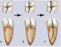 酒逢知己千杯少喝不醉,酒逢知己千杯少这酒怎么喝