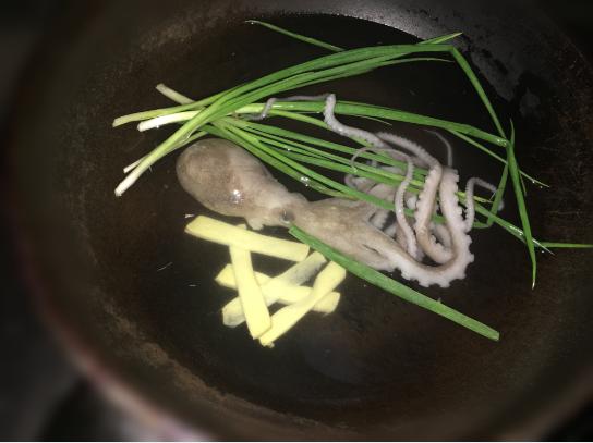 鲜活八爪鱼火锅,海鲜火锅配上八爪鱼