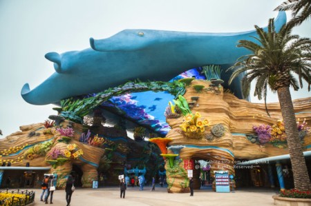 珠海长隆海洋王国游玩攻略一日游,珠海长隆海洋世界游玩攻略