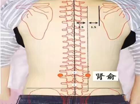 腰椎间盘突出反反复复腰痛怎么办,腰肌劳损腰疼和腰椎间盘突出