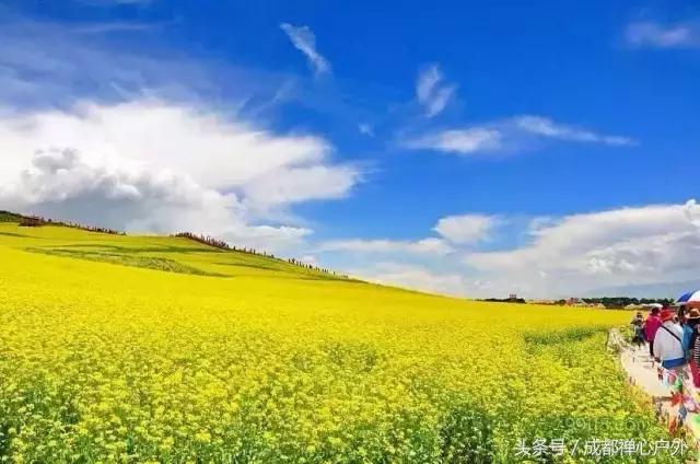 甘南年宝玉则景区,甘肃宝玉则旅游攻略