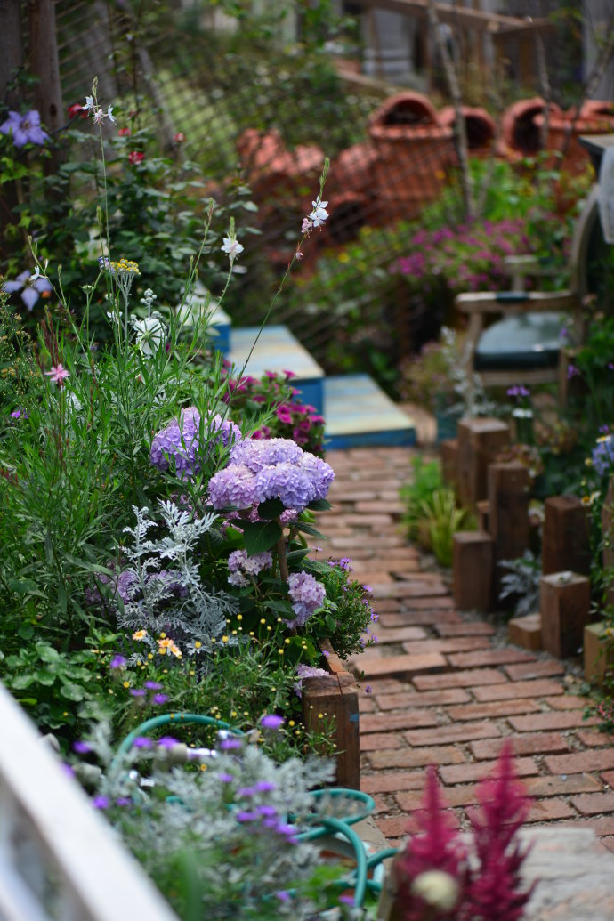 花园拜访,成都玛莉亚色彩花园电话