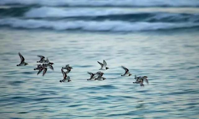 去塞舌尔用不用护照,塞舌尔护照免签国2024