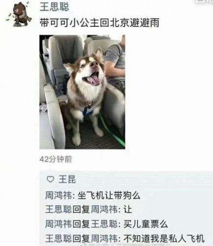 搞笑幽默段子，愚人节网恋下辈子是不是要托生成王思聪的狗？我可不想我妈找小白脸