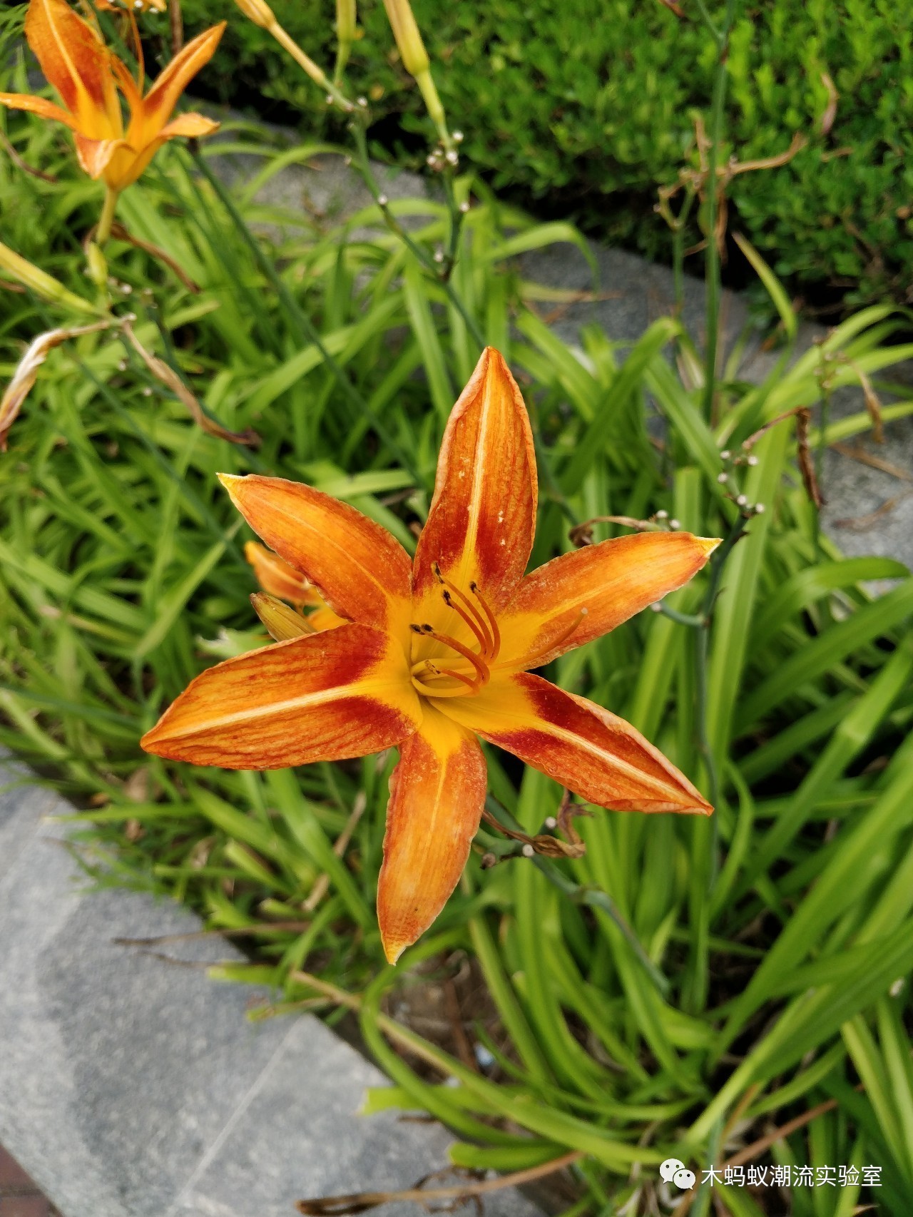 一加5评测拍照,一加5详细解析