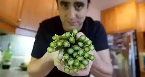 这位生物黑客教授竟然从苹果中培育出耳朵，功能与常人无异