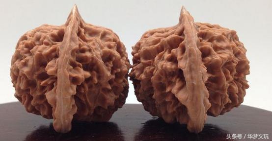 龙鳞纹狮子头和龙鳞纹官帽区别,金刚纹官帽狮子头