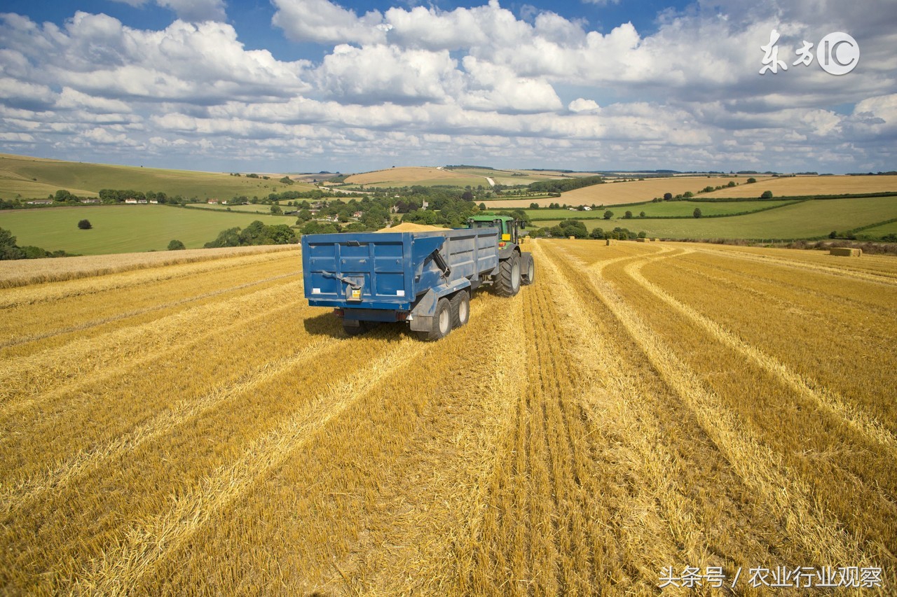养殖业和种植业什么前景最好,未来的机会都在种植业和养殖业