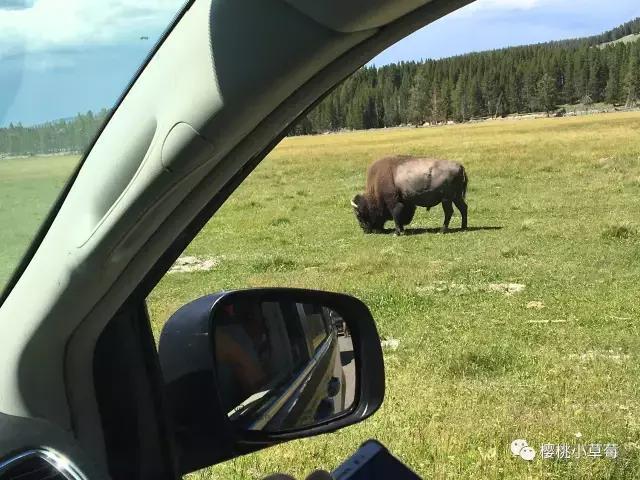 美国租车自由行真实经历,美国自驾游租车注意什么
