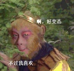 dhc和无印良品哪个好 (无印良品高cp值好物)