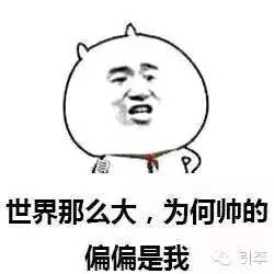 长测爱丽舍（1）：我们为啥选这货？