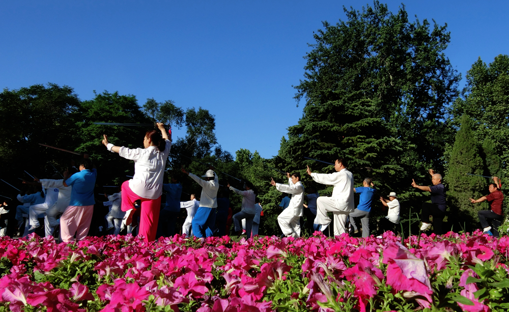 三月阳光明媚微风不燥,三月春暖花开阳光正好微风不燥