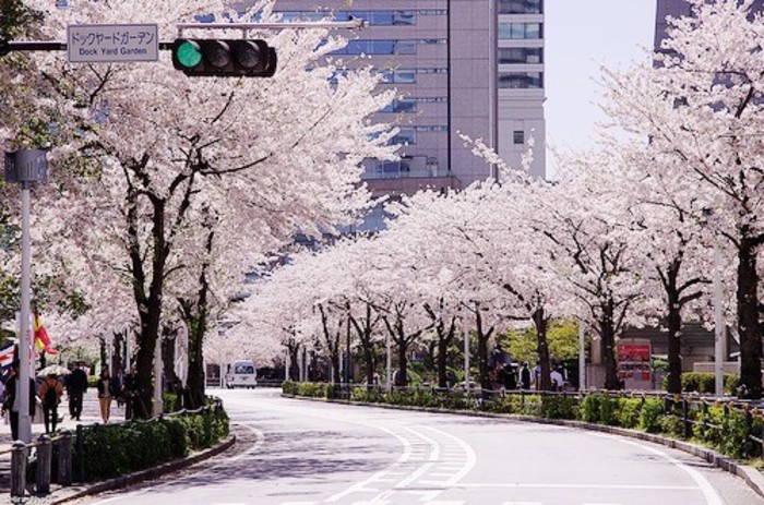 100万在世界各地能买什么样房子,100万能在世界各地买到怎样的房子