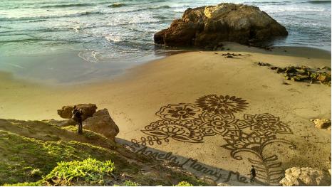 浪漫求婚大战,浪漫求婚现场表白感动全场