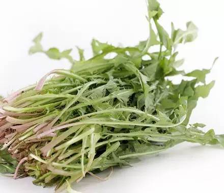 常见野菜吃法做法大全,常见野菜种类吃法